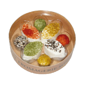Goats cheese 'Brochettes Epices' 9 pieces(90g)